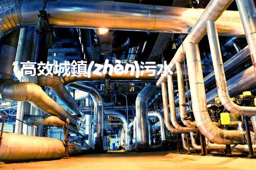 “高效城鎮(zhèn)污水處理流程，守護碧水藍天新篇章”
